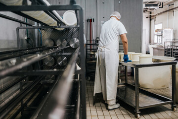 Manual worker in cheese and milk dairy production factory. Traditional European handmade healthy food manufacturing.