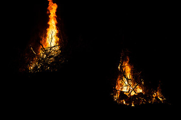 big fire in the forest at night