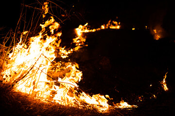 big fire in the forest at night