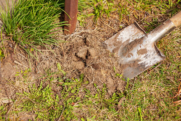 Old dirty shovel in the ground in the garden. Garden tools and equipment. The concept of gardening in summer or spring.