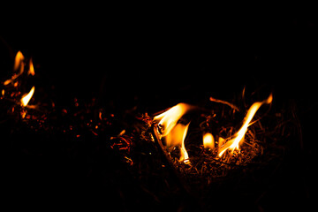 big fire in the forest at night