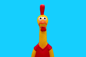 Rubber toy in the form of a screaming rooster on a blue background in the center. Funny toy rooster has a surprised and dumbfounded look with an open beak and frightened eyes - obrazy, fototapety, plakaty