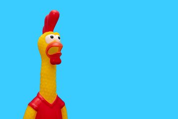 Rubber toy in the form of a screaming rooster on a blue background. The funny toy rooster has a surprised and dumbfounded look with an open beak and frightened eyes. Free space for text © halcon1