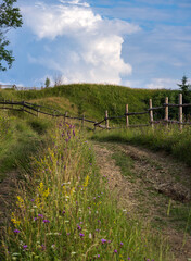 Fototapeta premium Picturesque summer Carpathian mountain countryside, Ukraine.