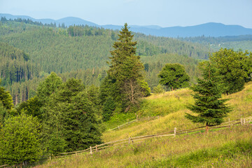 Fototapeta na wymiar Picturesque summer Carpathian mountain countryside, Ukraine.