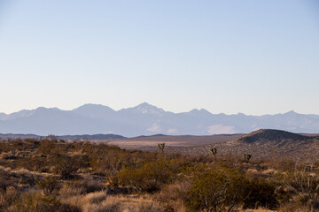 Mojave Desert Drives