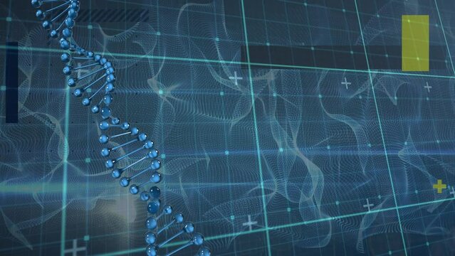Animation of spinning dna strand over grid