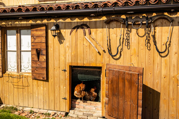 Nice house used as a chicken coop © REDMASON