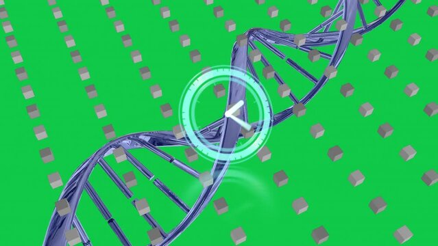 Animation of clock over dna strand