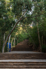 Stairs to Mardan Takht-i-Bahi Throne of the Water Spring View of the Buddhist Monastery at sunset. Pakistan