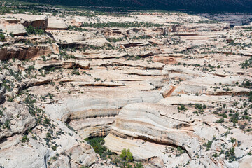 Sandstone Canyon Landscape of Natural Bridges National Monument in Utah
