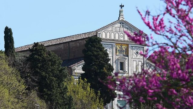 Church of San Miniato in Florence (St. Minias on the Mountain) with flowering judas tree. It has been described as one of the finest Romanesque structures in Tuscany. Italy