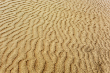 Detail of desert dune