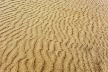Foto op Plexiglas Detail of desert dune © Fyle