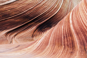 The Wave in Arizona - 498370973