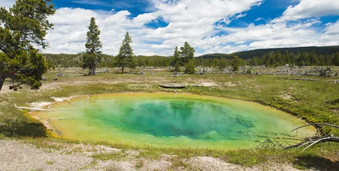 Fotobehang Hot spring in Yellowstone National Park © Fyle