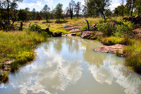 r&iacute;o en un bosque templado con cesped al rededor y un cielo azul en monte escobedo zacatecas 
