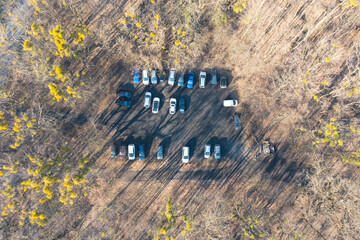 car parking in the forest, top view