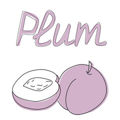 Vector illustration of plum in cartoon style, hand drawn plum flashcard - worksheet for children. Education game for kids. The word fruit plum.