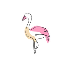 pink flamingo bird