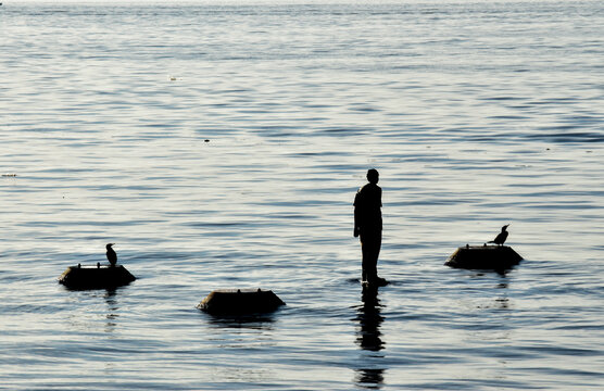statues in the river, buenos aires