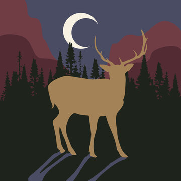 Deer silhouette in the woods at night
