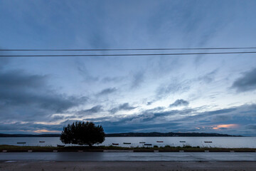 Lone Tree Silhouette by Calm Óbidos Lagoon at Twilight