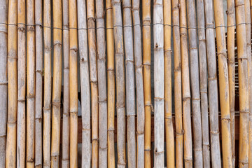 bamboo background