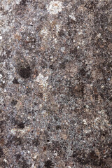 Grey weathered concrete wall texture