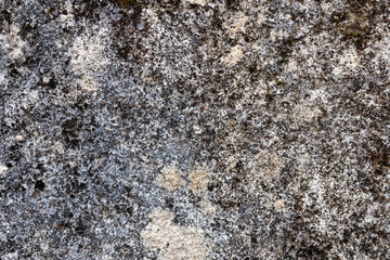 Grey weathered concrete wall texture