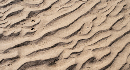 Sand background or texture