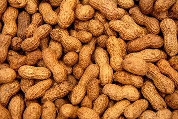 Peanut-covered wallpaper in close-up