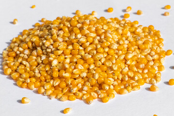 Close up of corn grains, on the white backgrounnd