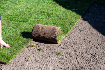 Making of natural green lawn in garden with rolls of green grass, garden works in spring