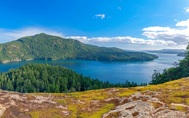 Panoramic view of the trees, ocean and shoreline at Maple Bay in Vancouver Island, British Columbia