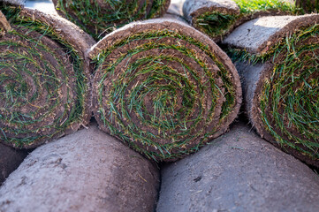 Garden reconstruction works in progress, new plants ready for planting in spring