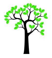 Obraz premium Green Tree. Vector outline Illustration.