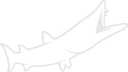 Obraz premium Barracuda Silhouette. Isolated Vector Animal Template for Logo Company, Icon, Symbol etc 