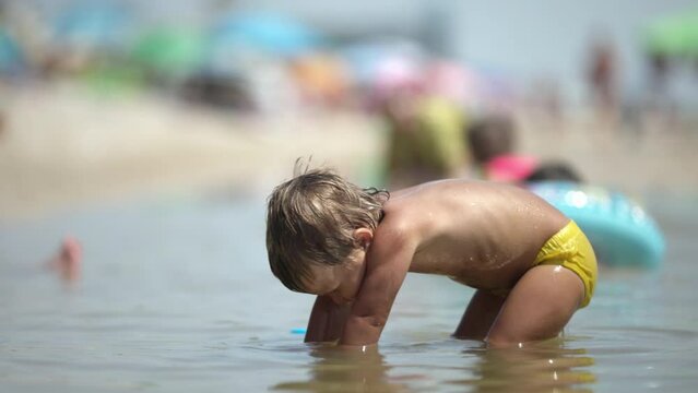 Kid collects shells and pebbles in the sea on a sandy bottom under the summer sun on a vacation