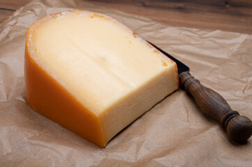 Piece of Dutch Gouda cheese ade from cow milk - obrazy, fototapety, plakaty