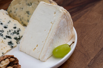 French cheeses, blue sheep cheese roquefort and Delice de Bourgogne cow's milk cheese from Burgundy