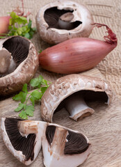 Tasty vegetarian food, large brown champignons Agaricus bisporus portobello mushrooms