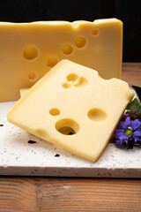 Swiss cheese collection, yellow emmentaler cheese with round holes