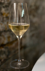 Tasting of brut champagne sparkling wine produced by traditional method in underground caves