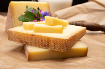 Swiss cheese collection, gruyere cheese made from unpasteurized cow's milk