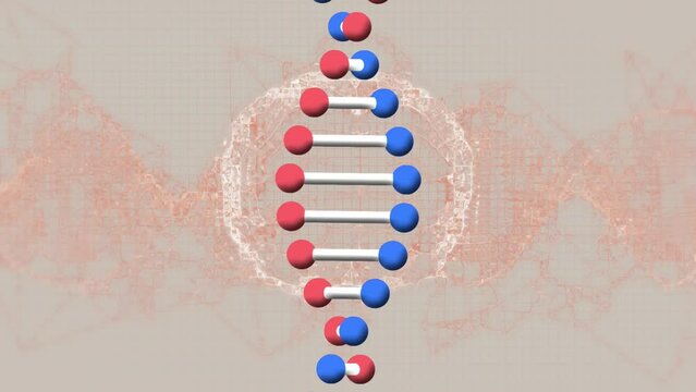 Animation of dna chain rotating over brain on beige background