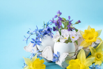 Floral Easter arrangement on a blue background. packaging for eggs and spring flowers in an eggshell. DIY, blur and selective focus