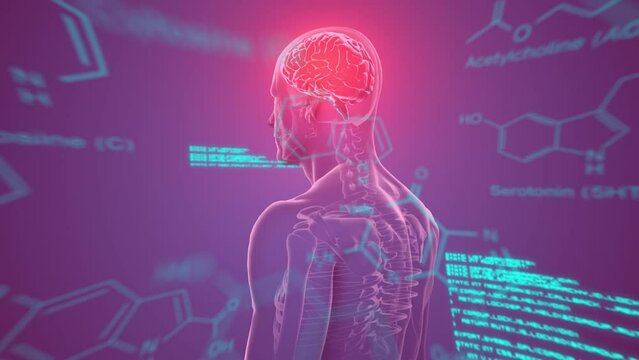 Animation of chemical formulas and data processing over over rotating human body