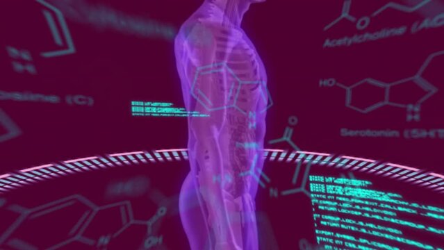 Animation of chemical formulas and data processing over rotating human body