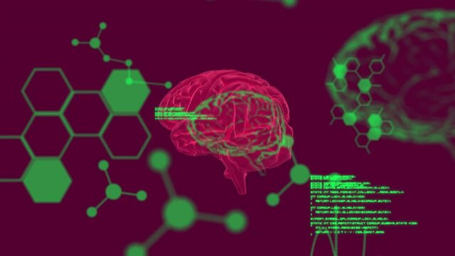 Animation of chemical formulas and data processing over rotating brain and veins